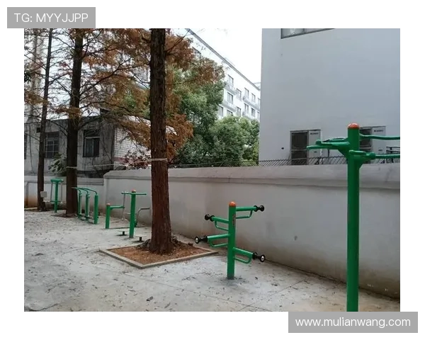 社区健身器材的使用：社区健身器材的正确使用方法与注意事项
