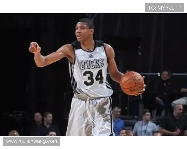 字母哥在2024赛季的全面表现如何带动雄鹿队攻防两端的提升