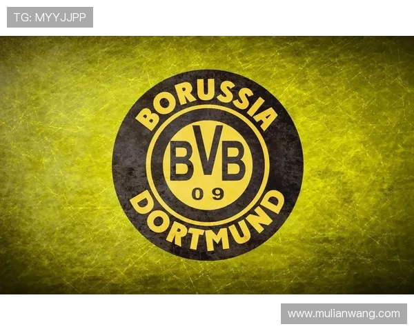 德甲球队队徽的变迁历史与设计风格演变