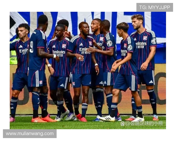 法甲比赛现场观赛体验及球迷文化探讨