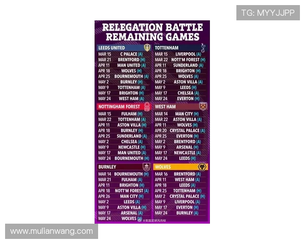 英超联赛中经历过最悲惨赛季的球队案例分析 英超联赛中经历过最悲惨赛季的球队案例分析